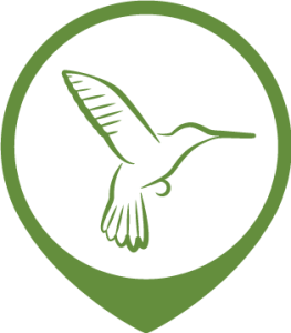 Logomark-Green-1