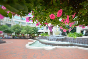 Fountain flowers RESTON TOWN