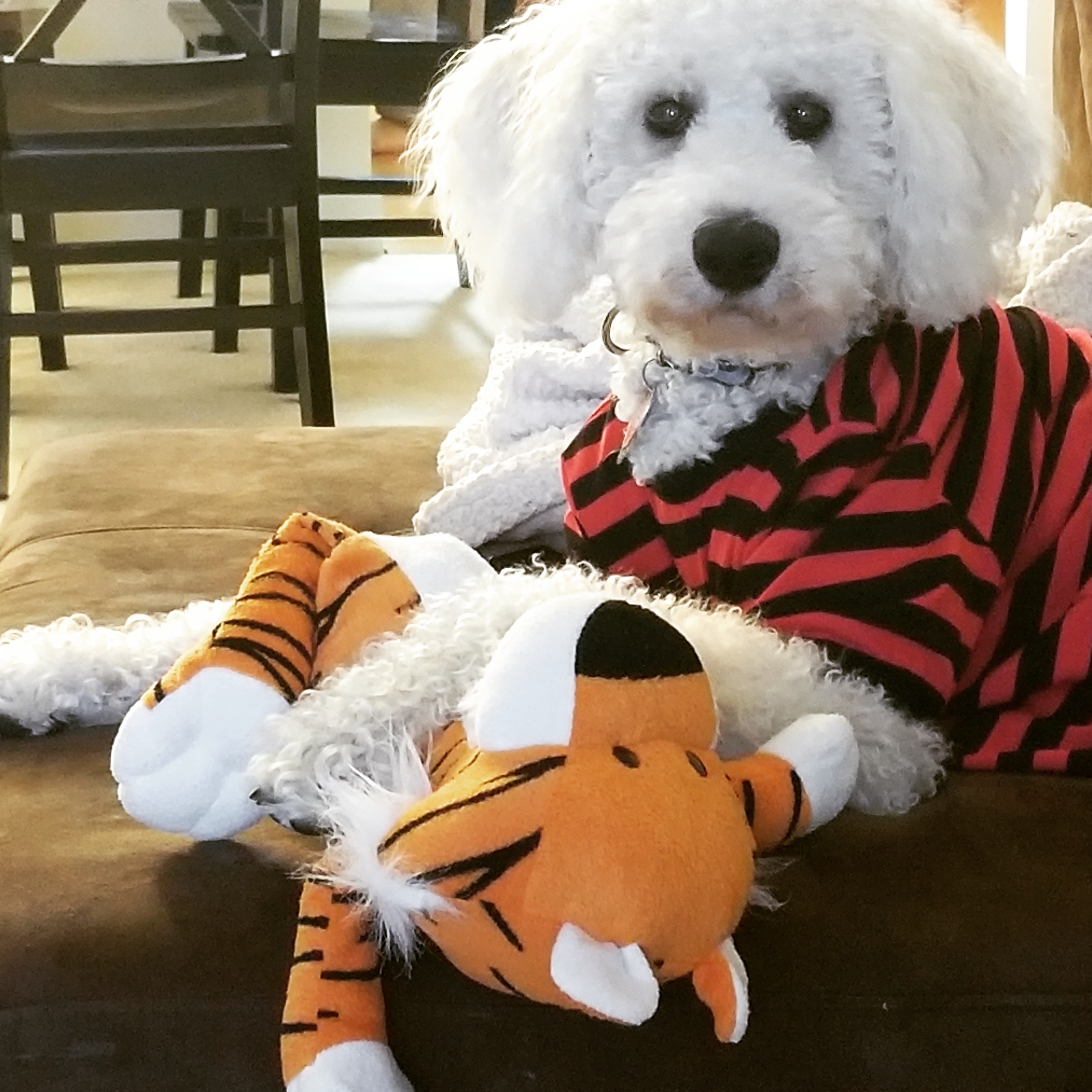 Calvin and stuffed Tiger Calvin
